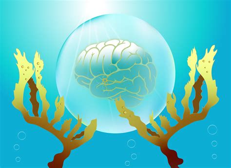 Breakthrough Seaweed Antioxidant Could Prevent Parkinson’s Disease