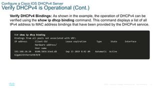 Image result for Module 7 DHCPv4