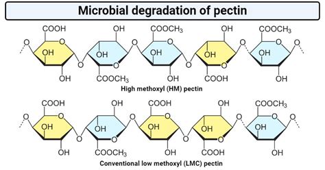 Image result for Chrome Settings for JavaScript