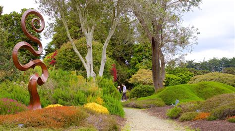 Are Dogs Allowed In Mendocino Botanical Gardens
