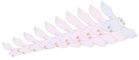 Image result for Morphing Animation Tutorials