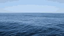 Image result for Ocean Pattern
