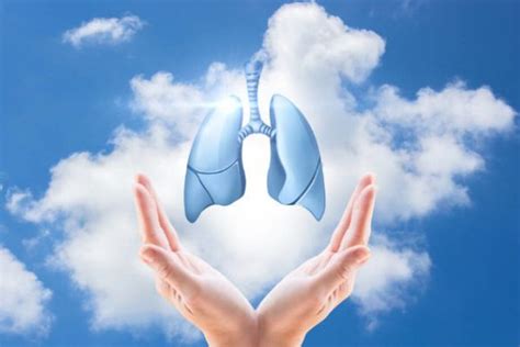 想要肺部健康怎么办？中医教你养肺的方法！_养生之道_振东健康网
