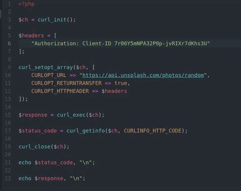 Image result for Example Curl Code for Wix