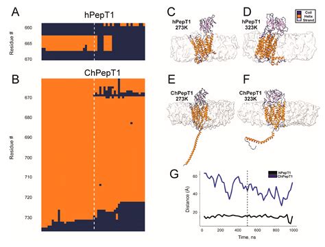 Molecular Fingerprint of Cold Adaptation in Antarctic Icefish PepT1 ...