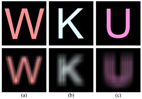 Fast Numerical Reconstruction of Integral Imaging Based on a Determined ...