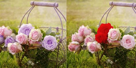 Image result for Using Selective Color Photoshop