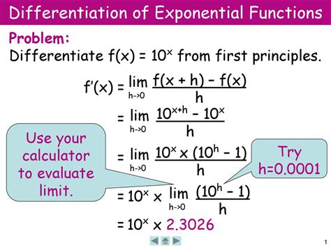 Exponential Derivative Examples 的图像结果