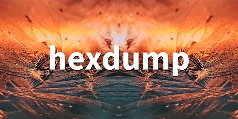 Image result for Hexdumpon ISO File