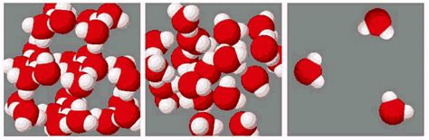 Water 的图像结果