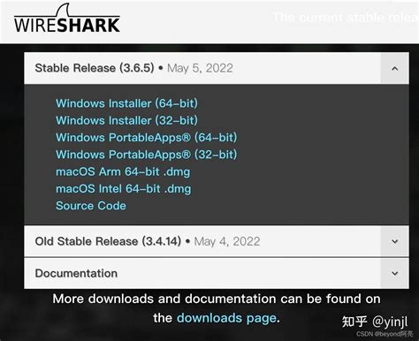 下载 Wireshark 4.0.6 Windows 版 - Filehippo.com