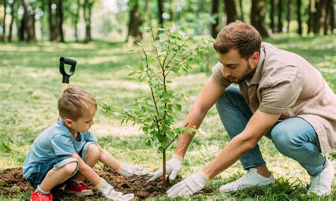 Image result for Lessons When Planting Trees