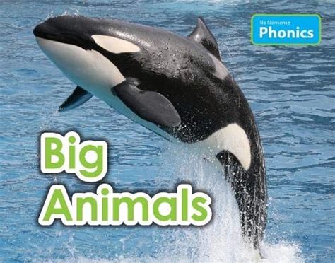 Big Animals (No Nonsense Phonics) - Educational Book