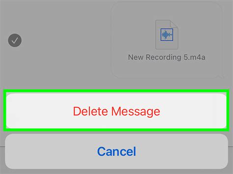 Do Voice Messages Disappear Before Being Read: iPhone