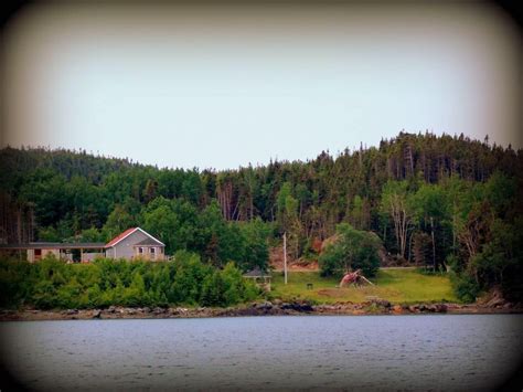 Fish Day! , Glovers harbour NL Giant Squid, Grand Falls-windsor, 8 ...