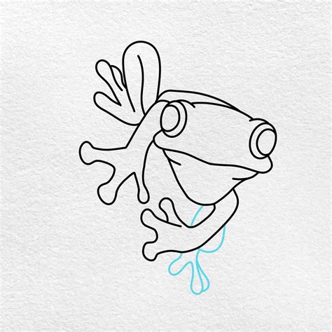 Tree Frogs Drawings