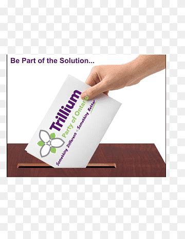 Voting Advice Application 的图像结果