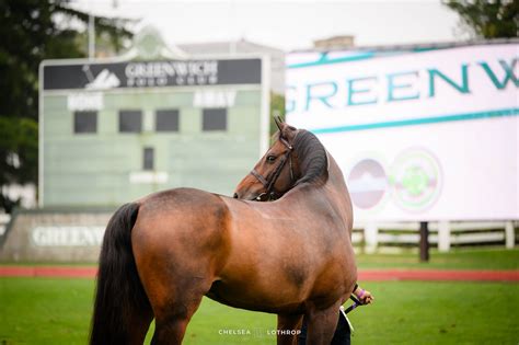 What’s New with the Horse Protection Act: Key Findings from the ...