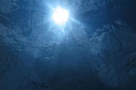 Banana Reef (North Male Atoll) - 2019 What to Know Before You Go (with ...