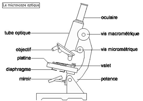 Image result for Microscope Schema Optique