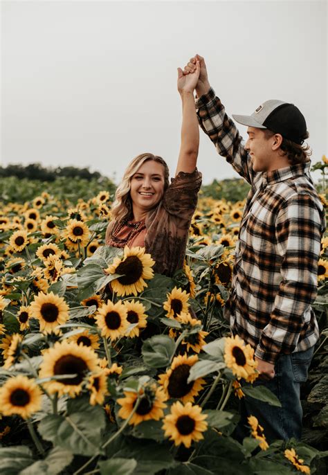 Sunflower field photos at Ramseyer Farms in Wooster, OH