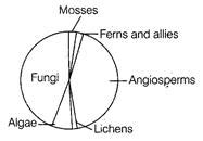 Which of the following is the largest taxon among plants in terms of ...