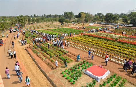 Spiisry participated in National Horticulture Fair 2023 | SPIISRY