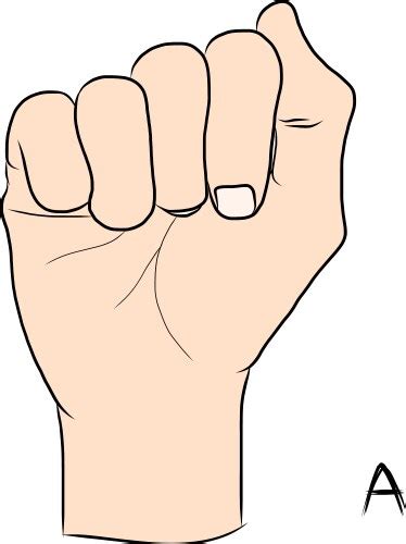 5 in Sign Language 的图像结果