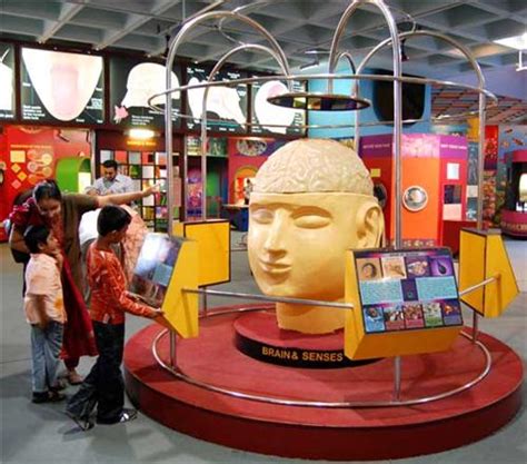 Museums in India, Top Museums in India, National Museum of India