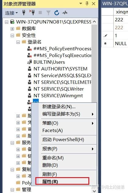 SQL Server E 的图像结果