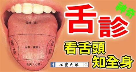 舌診——看舌頭，知全身 - PEEKME