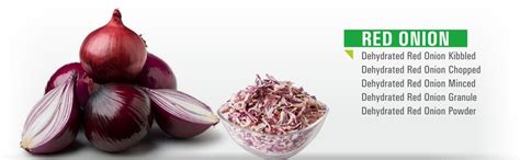 GUJARAT FOODS - Manufacturer & Exporter of Dehydrated Onion, Garlic and ...