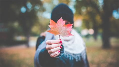 Download wallpaper girl, sheet, maple, nails, manicure, maple, section ...