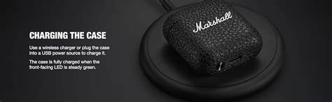 Marshall Minor Iv Wireless in Ear Earbuds with 30+ Hours of Playtime ...