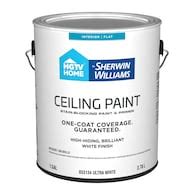 White Ceiling Paint at Lowes.com