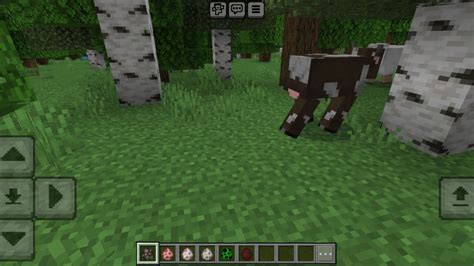 Image result for Minecraft Mob Animation Mod