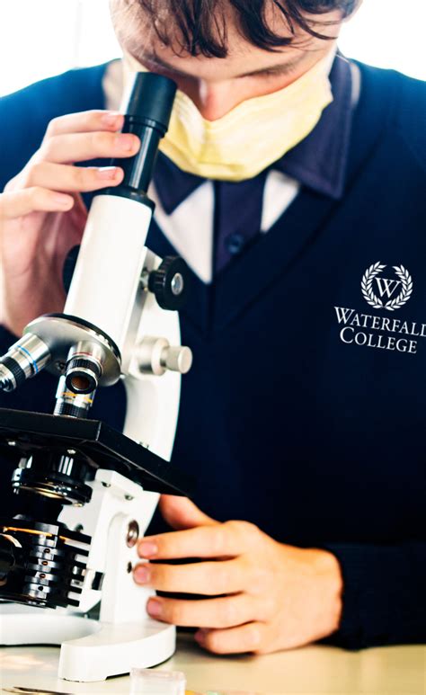 Image result for Waterfall Learning