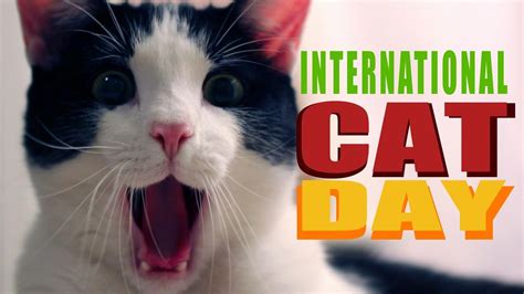 International Day of the Cats [1 min read]