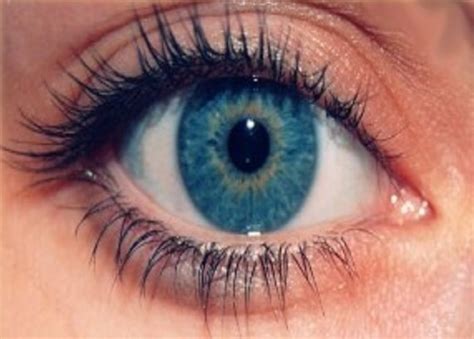 Cara Menjaga Kesehatan Mata Bagi Pengguna Komputer | Tips Kecantikan ...