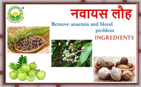 Buy BASIC AYURVEDA Navayas Loh 40 Tablets Pack Of 5 | Online at Low ...