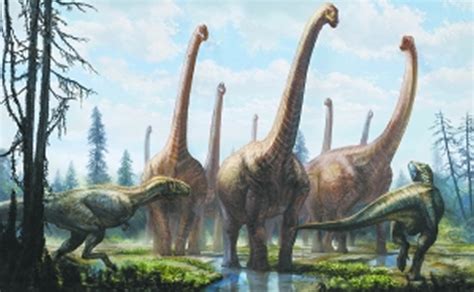 北京首次发现恐龙足迹化石(图)