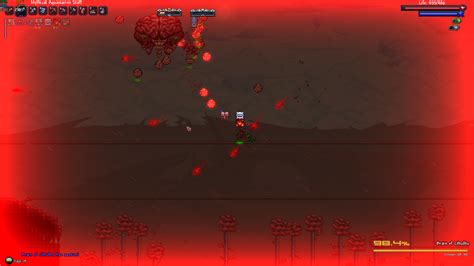 Steam Community :: Guide :: Calamity hardcore death (FOR MAGES!!!)