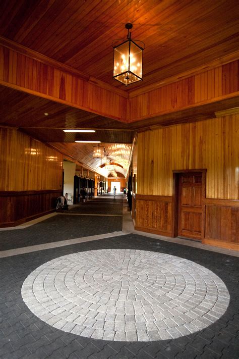 Stable 的图像结果