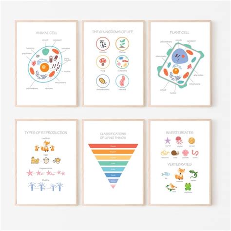 Biology Poster PNG 的图像结果