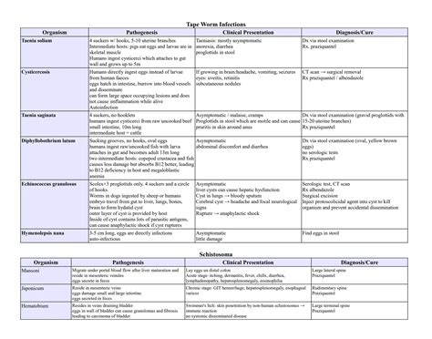 Microbiology Notes.pdf