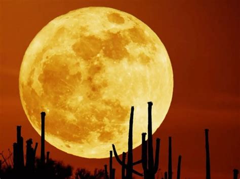 In Two Weeks, World Will See The Biggest Moon It Has Seen Since 1948 ...