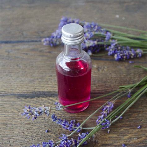 Homemade bed bug spray: get rid of bed bugs fast - SimplyBeyondHerbs