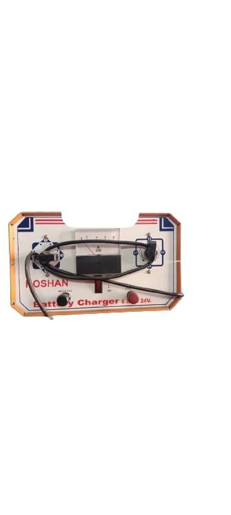 Roshan 24V 6A Battery Charger for Specific Applications : Amazon.in ...