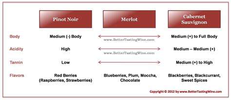 Qual é a Diferença: Cabernet Sauvignon vs Merlot vs Pinot Noir ...