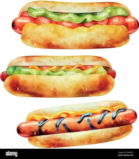 Hand Drawn Hot Dog, Watercolor Sketch,Vector Illustration For Food ...